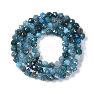 Natural Apatite Beads Strands G-N342-34-1