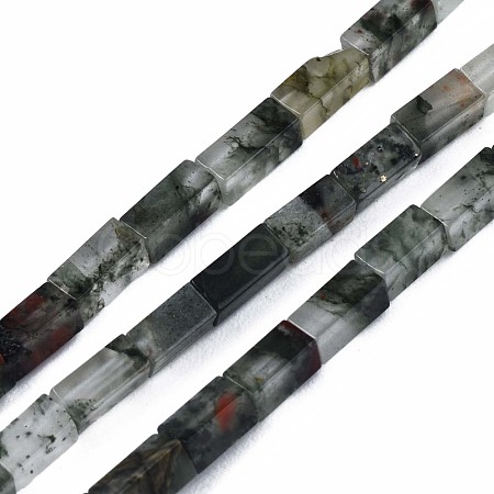 Natural African Bloodstone  Beads Strands G-S299-134-1