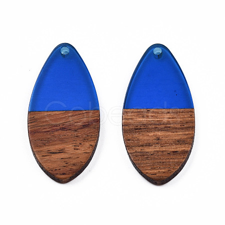 Transparent Resin & Walnut Wood Pendants RESI-N025-032-C03-1