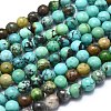 Natural Turquoise Beads Strands G-K305-01-B-1