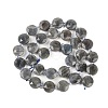 Natural Labradorite Beads Strands G-C116-A46-01-3