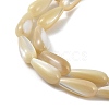Natural Trochus Shell Beads PEAR-B002-01A-B-3