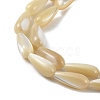 Natural Trochus Shell Beads PEAR-B002-01A-B-3