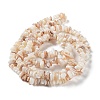 Natural Shell Beads Strands G-F328-45-5