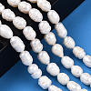 Natural Cultured Freshwater Pearl Beads Strands PEAR-N012-07S-2
