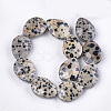 Natural Dalmatian Jasper Beads Strands X-G-S354-05-2