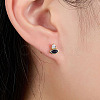 Cubic Zirconia Horse Eye Stud Earrings LS2614-7-2