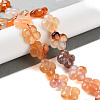 Natural Agate Beads Strands G-H024-C01-01-2