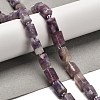 Natural Lepidolite/Purple Mica Stone Beads Strands G-K245-I16-01-2