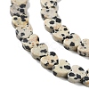 Natural Dalmatian Jasper Beads Strands G-M403-A31-02-4