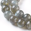 Natural Labradorite Round Bead Strands G-I156-01-10mm-7