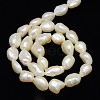 Natural Cultured Freshwater Pearl Beads Strands PEAR-L001-18-3