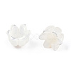 Natural White Shell Bead Caps SSHEL-N032-58A-5