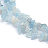 Natural Aquamarine Beads Strands G-P406-05-2