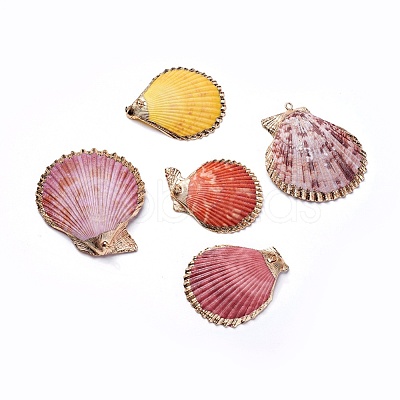 Shell Pendants SHEL-P075-05-1