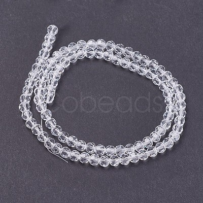 Transparent Glass Beads Strands EGLA-F120-NA01-1