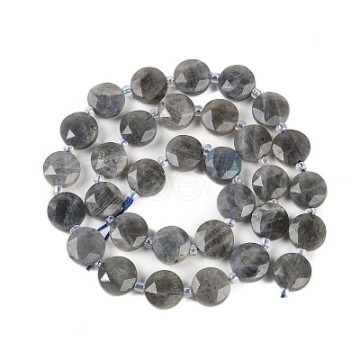 Natural Labradorite Beads Strands G-C116-A46-01-1