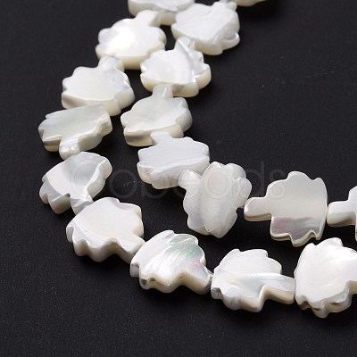 Natural Trochid Shell Beads Strands SSHEL-G023-09B-1