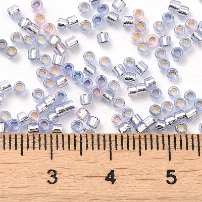 Glass Seed Beads X-SEED-S042-04B-22-1