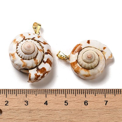 Natural Spiral Shell Pendants SSHEL-H071-05G-1