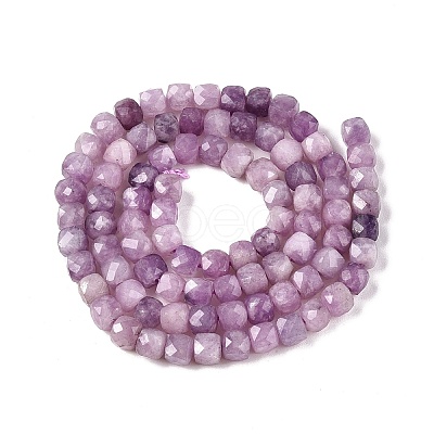 Natural Lepidolite/Purple Mica Stone Beads Strands G-N342-139-1