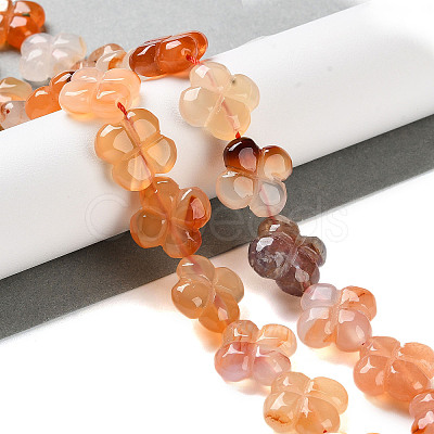 Natural Agate Beads Strands G-H024-C01-01-1