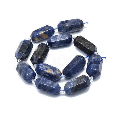 Natural Sodalite Beads Strands G-F715-060-1