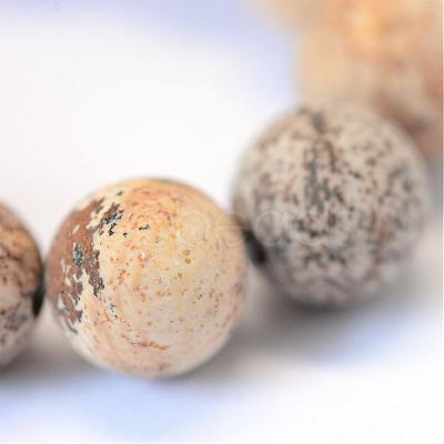 Frosted Natural Picture Jasper Round Bead Strands G-E334-6mm-26-1