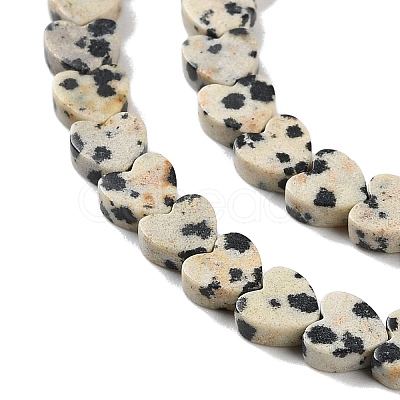 Natural Dalmatian Jasper Beads Strands G-M403-A31-02-1