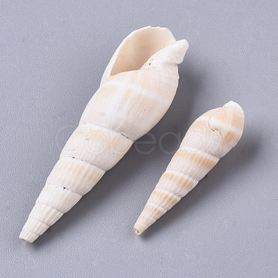 Natural Spiral Shell Beads SSHEL-S258-79-1