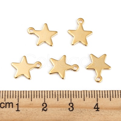 304 Stainless Steel Charms STAS-G190-27G-A-1