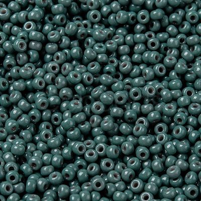 MIYUKI Round Rocailles Beads SEED-G008-RR4481-1