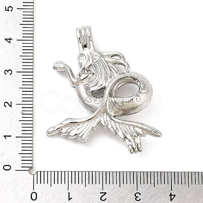 Alloy Bead Cage Pendants FIND-M012-01A-P-1