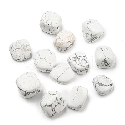 Natural Howlite Beads G-O029-08D-01-1