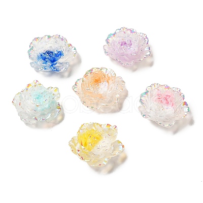 Transparent Resin Cabochons CRES-M014-21-1