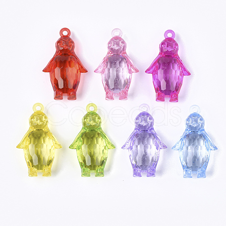 Transparent Acrylic Pendants X-TACR-S133-006-1