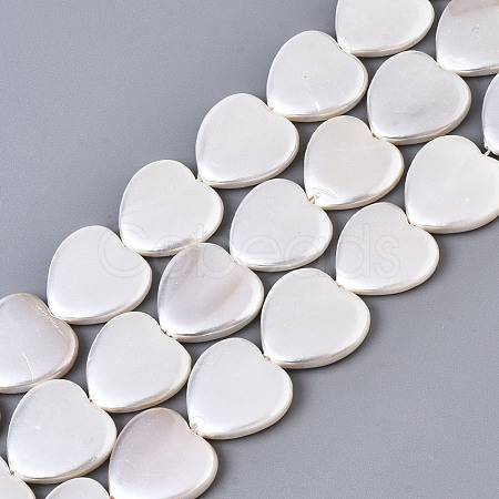 Electroplate Natural Shell Beads Strands BSHE-Q034-003D-1