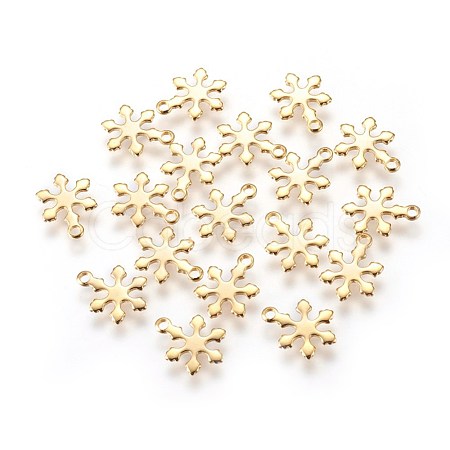 304 Stainless Steel Charms STAS-E447-10G-1
