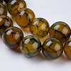 Natural Dragon Veins Agate Beads Strands G-G515-10mm-02A-3