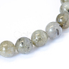 Natural Labradorite Round Bead Strands X-G-E334-6mm-19-2