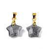 Natural Labradorite Charms G-N326-142-06-1