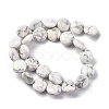 Natural Howlite Beads Strands G-C159-A01-01-3