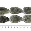 Natural Labradorite Beads Strands G-P548-B14-01-4