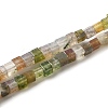 Natural Indian Agate Beads Strands G-B064-A29-1