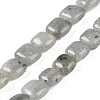 Natural Labradorite Beads Strands G-M435-A11-01-1