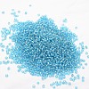 6/0 Transparent Glass Round Seed Beads X-SEED-J010-F6-23-2