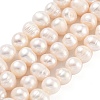 Natural Cultured Freshwater Pearl Beads Strands PEAR-C003-09D-1