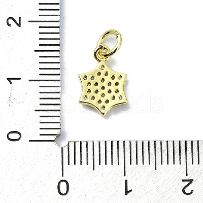 Brass Micro Pave Clear Cubic Zirconia Charms KK-H475-59G-05-1