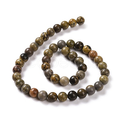 Natural Dendritic Jasper Beads Strands G-H1632-6MM-1