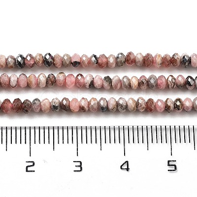 Natural Argentina Rhodonite Beads Strands G-C052-10-01-1